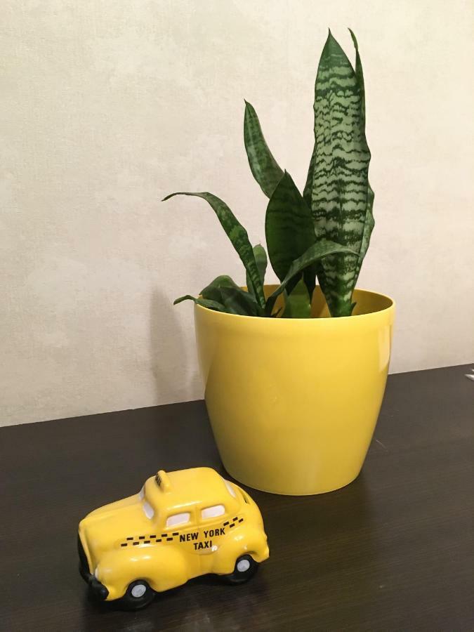Sunflower Apartment Near Kiev Airport & Railway Station & Center City! 外观 照片